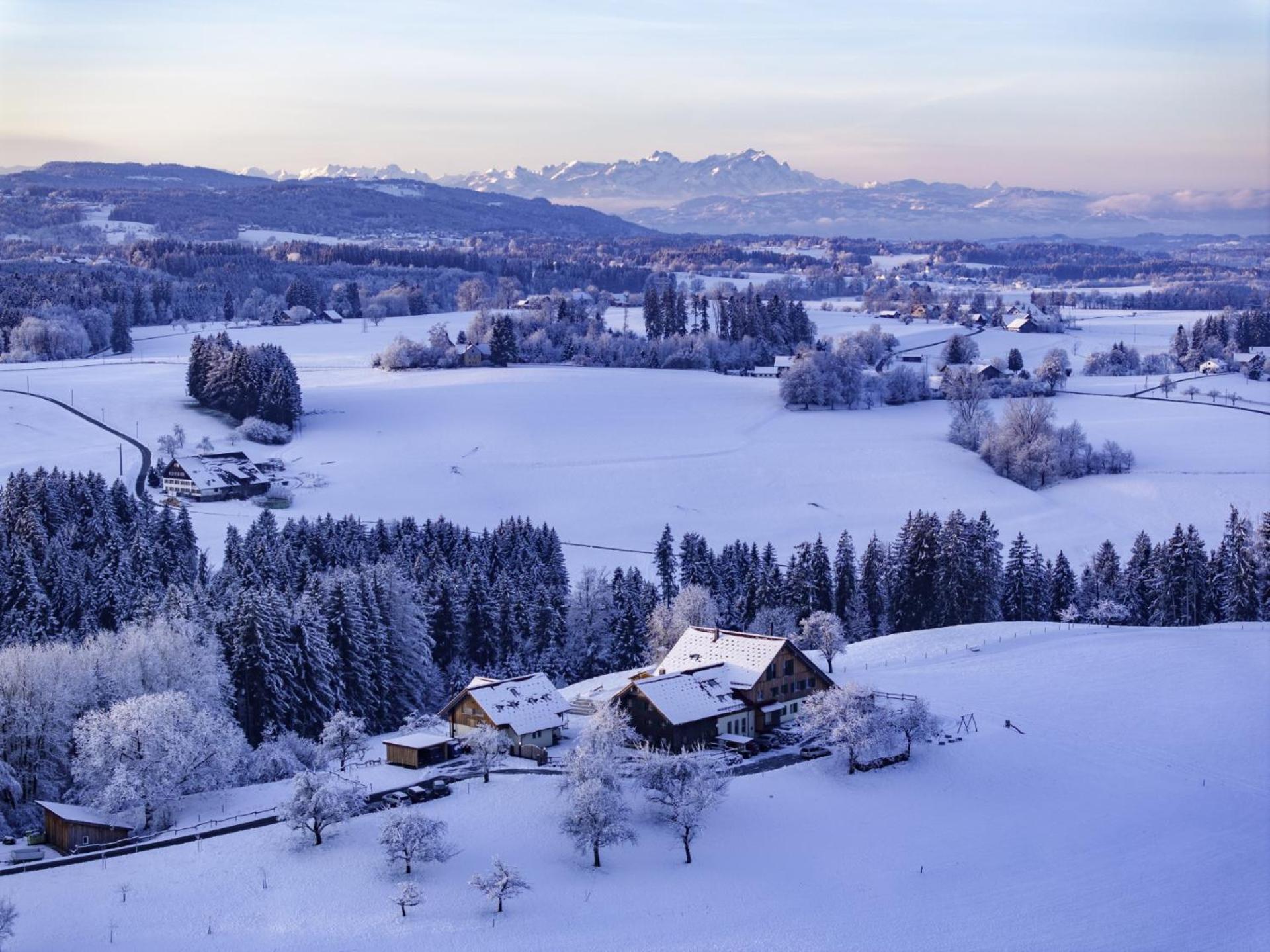 Heimatel - Ferienappartements Hochberg Argenbuhl Exteriér fotografie
